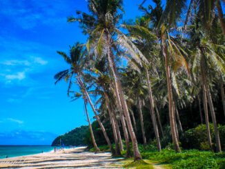 Puka Shell Beach auf Boracay